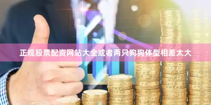 正规股票配资网站大全或者两只狗狗体型相差太大